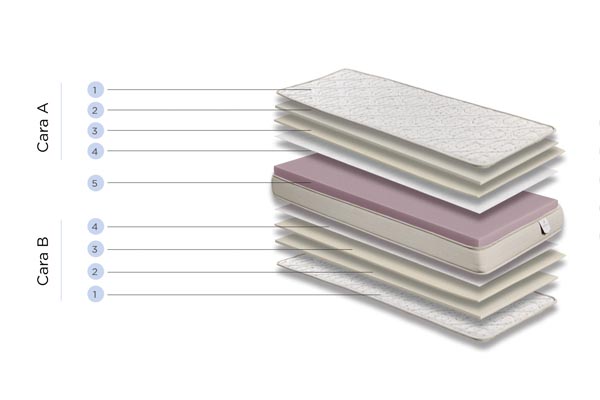 estrella-componentes